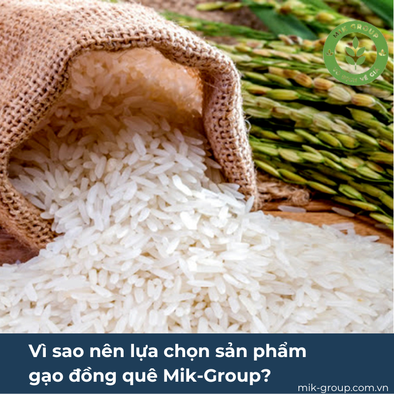 Vì sao nên lựa chọn sản phẩm gạo đồng quê Mik-Group